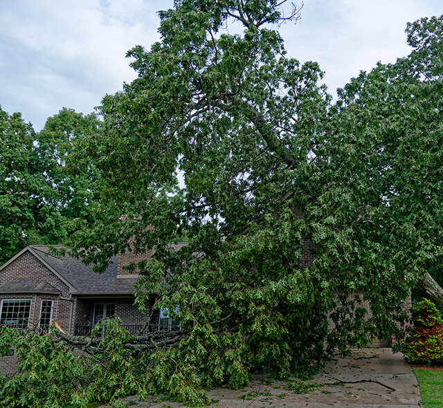 North County Tree Care handling tree removal after a massive storm-damaged tree fell onto a home in Cornelius, NC