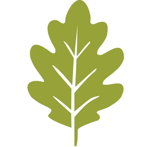 Official logo of North County Tree Care, providing professional tree removal and maintenance services throughout NC